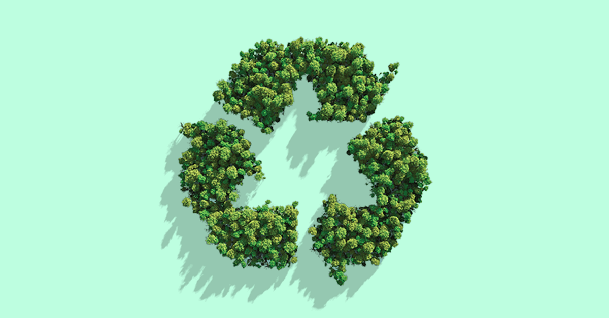 Símbolo de reciclaje y sostenibilidad hecho con árboles